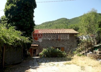 DSCF1686.JPG - Casa indipendente Rufina - foto 1