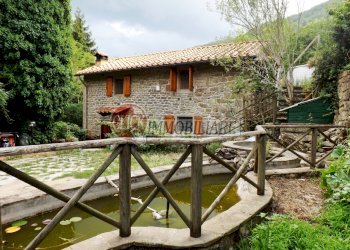 DSCF1830.JPG - Casa indipendente Rufina - foto 2