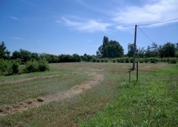 Agriturismo Ferrara - foto 5