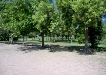 Agriturismo Ferrara - foto 12