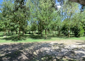 Agriturismo Ferrara - foto 17