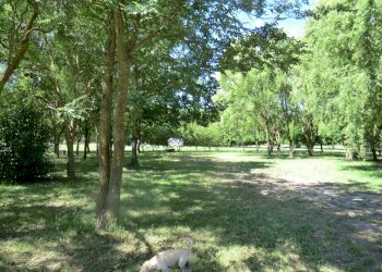 Agriturismo Ferrara - foto 89