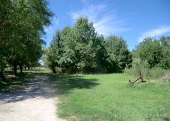 Agriturismo Ferrara - foto 98