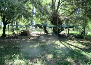 Agriturismo Ferrara - foto 100