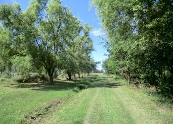 Agriturismo Ferrara - foto 101