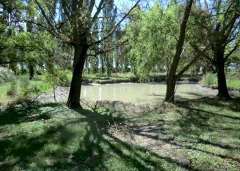 Agriturismo Ferrara - foto 102