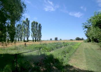 Agriturismo Ferrara - foto 103