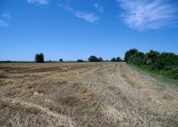 Agriturismo Ferrara - foto 104