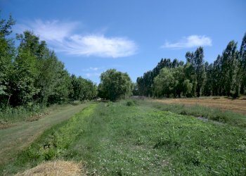 Agriturismo Ferrara - foto 105