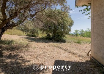 Rustico contrada monte aquilino, San Benedetto del Tronto - foto 16