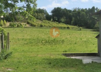 Terreno - Villa strada di Carpaneto, Pesaro - photo 21