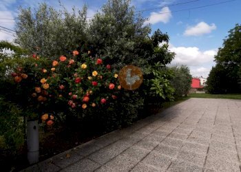 Giardino - Villa strada di Carpaneto, Pesaro - foto 32