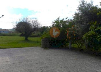 Terreno - Villa strada di Carpaneto, Pesaro - photo 34