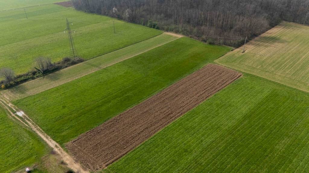 Terreno - Terreno agricolo viale dello Sport, Tradate - foto 1