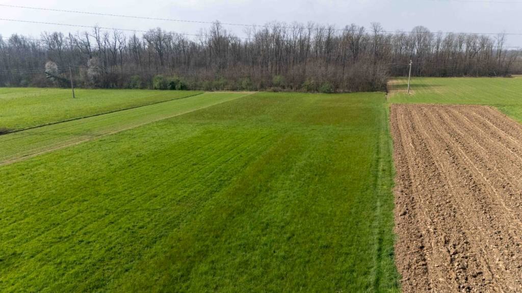 Terreno - Terreno agricolo viale dello Sport, Tradate - foto 3
