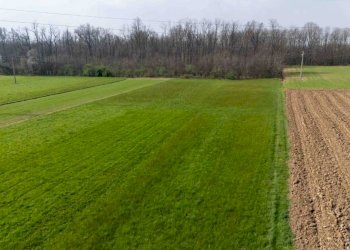 Terreno - Terreno agricolo viale dello Sport, Tradate - foto 3