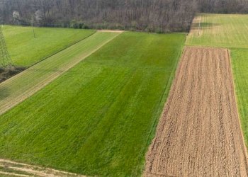 Terreno - Terreno agricolo viale dello Sport, Tradate - foto 4