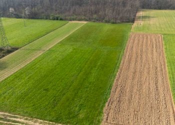 Terreno - Terreno agricolo viale dello Sport, Tradate - foto 5