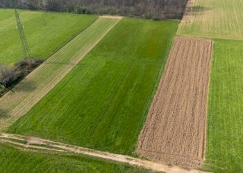 Terreno - Terreno agricolo viale dello Sport, Tradate - foto 6