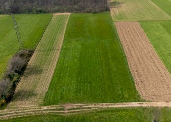 Terreno - Terreno agricolo viale dello Sport, Tradate - foto 7