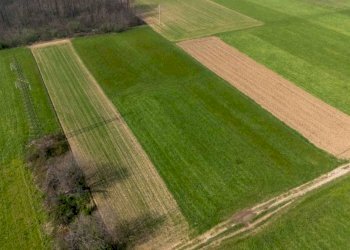 Terreno - Terreno agricolo viale dello Sport, Tradate - foto 8