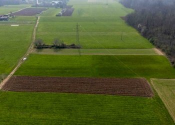 Terreno - Terreno agricolo viale dello Sport, Tradate - foto 9