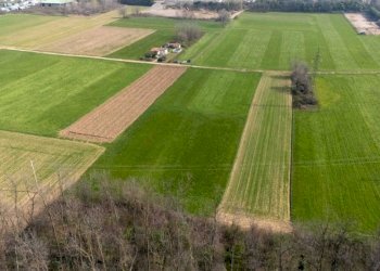Terreno - Terreno agricolo viale dello Sport, Tradate - foto 12