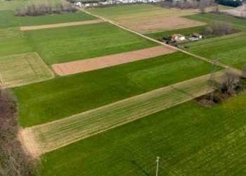 Terreno - Terreno agricolo viale dello Sport, Tradate - foto 13