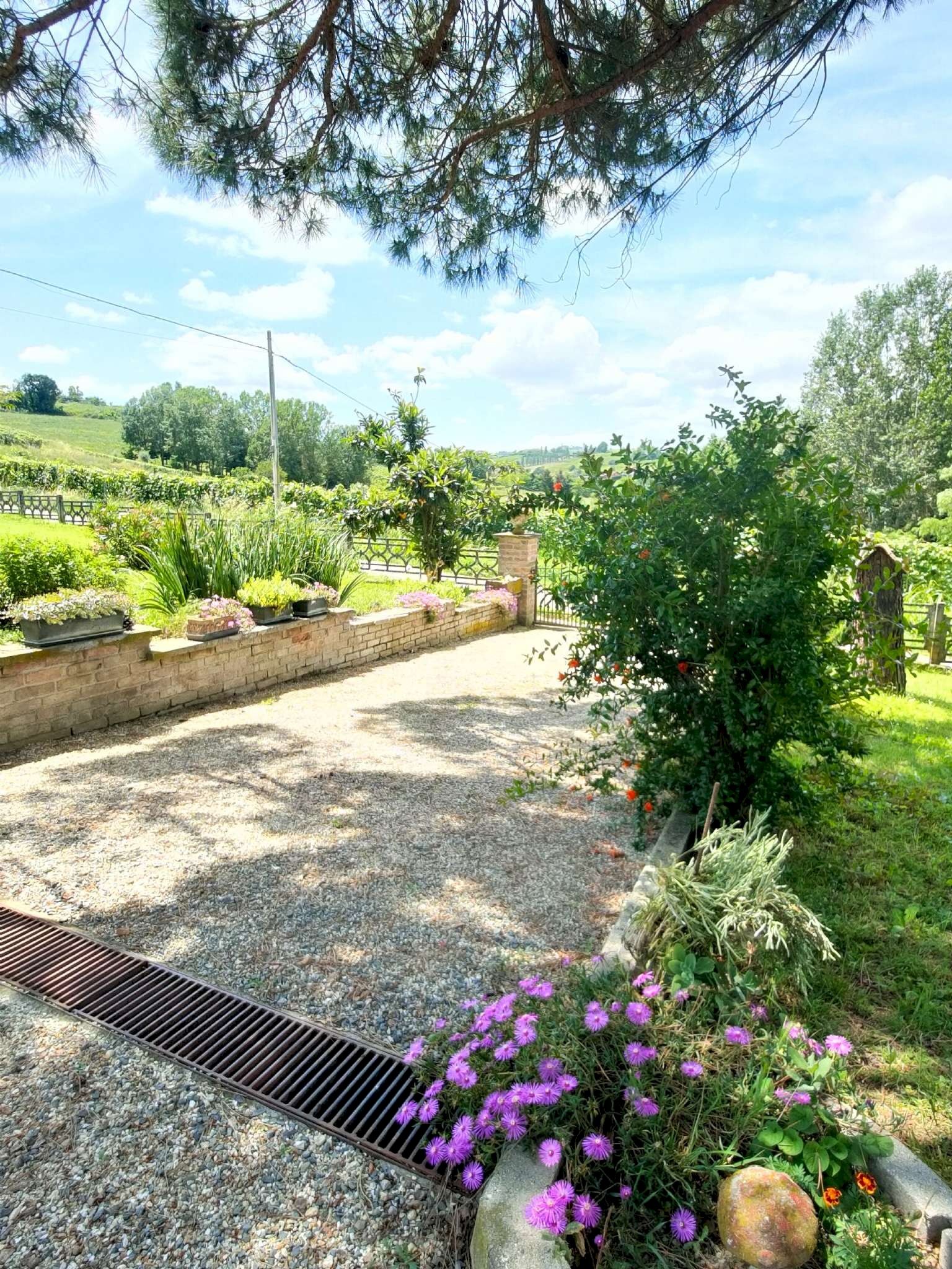 1-2 - Villa Moasca - photo 3