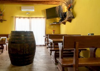 DSC02923-HDR.jpg - Commercial Premises Uta - photo 7