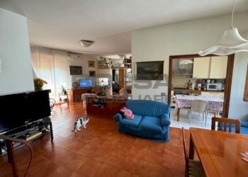 IMG_8266.jpg - Appartamento Via di Montenero 424, Livorno - foto 7