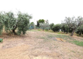 Casa indipendente Via San. Martino, Colonnella - foto 25