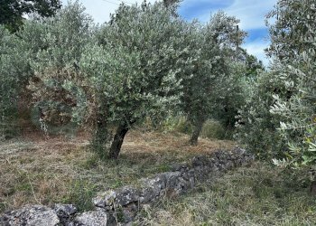 Casa indipendente Via Borgo San Nicola, Pastena - foto 16