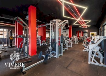 Commercial Activity Via Delle Azzorre, Roma - photo 3