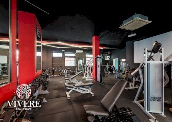 Commercial Activity Via Delle Azzorre, Roma - photo 7