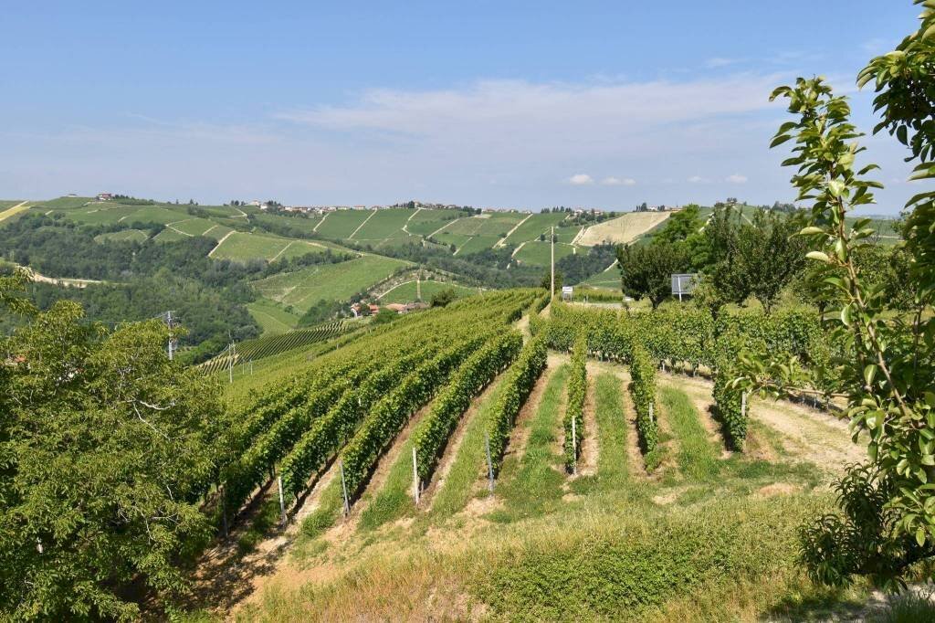 Vista - Rustic Neviglie - photo 2