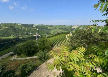 Vista - Rustico Neviglie - foto 31