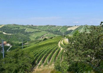 Vista - Rustico Neviglie - foto 33