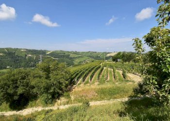 Vista - Rustico Neviglie - foto 11