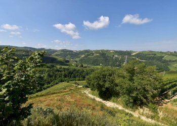 Vista - Rustico Neviglie - foto 12