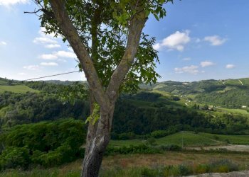 Vista - Rustico Neviglie - foto 15