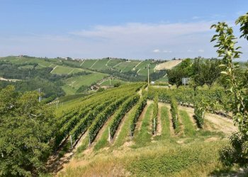 Vista - Rustico Neviglie - foto 2