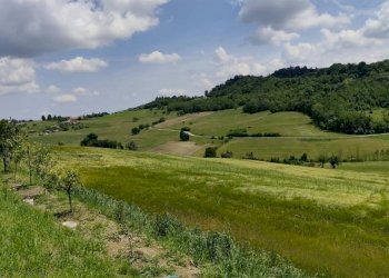 vista - Casa indipendente via Vignali, 13, Brozolo - foto 7