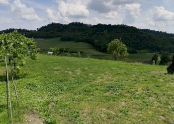 cucuzzolo - Casa indipendente via Vignali, 13, Brozolo - foto 8