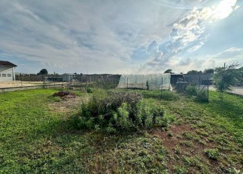 Terreno - Villa via Cuneo, Carmagnola - foto 14