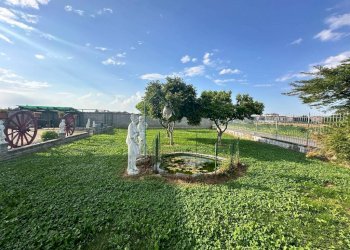 Terreno - Villa via Cuneo, Carmagnola - foto 15