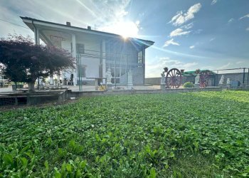 Giardino - Villa via Cuneo, Carmagnola - foto 16