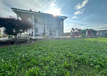Giardino - Villa via Cuneo, Carmagnola - foto 17