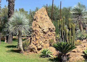 Dettagli - Villa SS115dir, Castelvetrano - foto 31