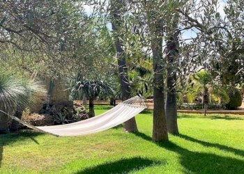 Dettagli - Villa SS115dir, Castelvetrano - foto 33